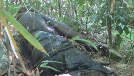 Phat hien xac nguoi lia dau trong rung phong ho hinh anh