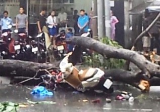 'Sao vo toi chet qua bat ngo nhu vay?' hinh anh