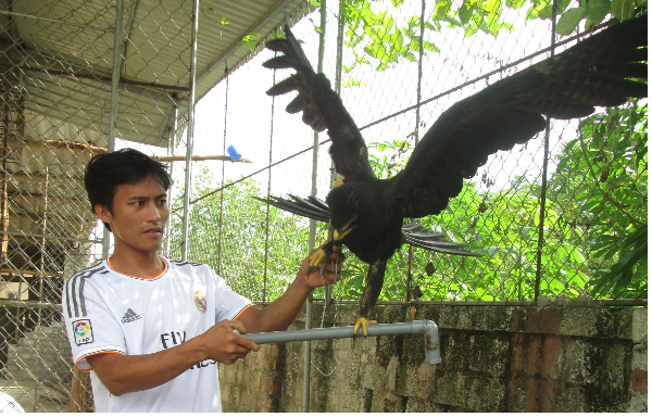 Dai bang den bay vao nha dan, duoc tra gia 5.000 USD hinh anh