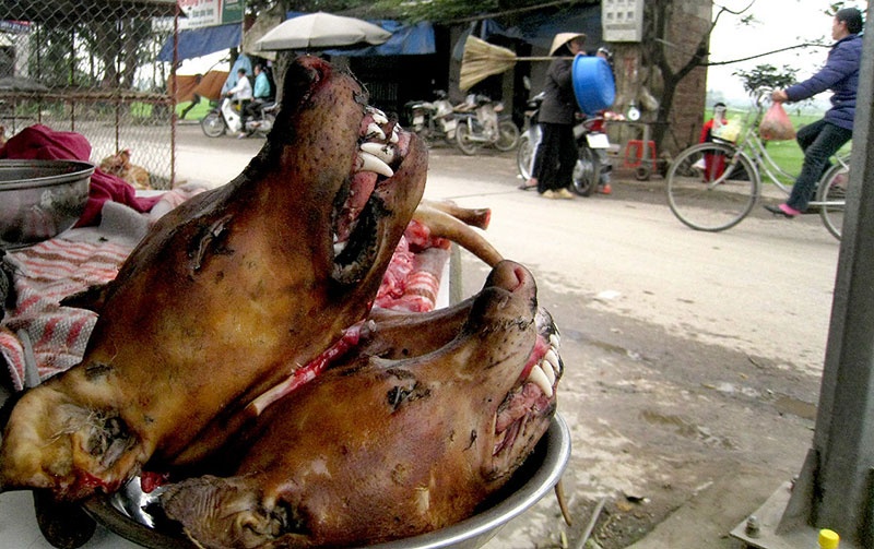 Quầy bán thịt chó tại một chợ cóc thuộc huyện Chương Mỹ, Hà Nội.