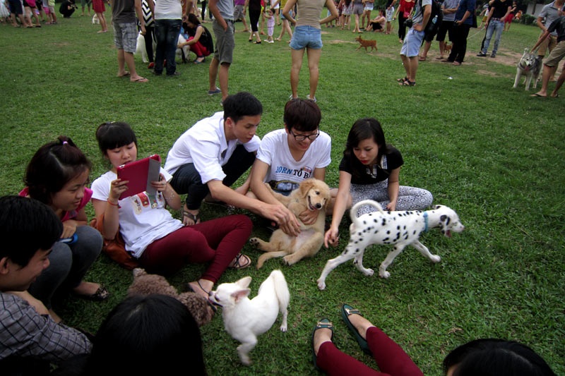 Đã có nhiều kêu gọi người Việt nên bỏ thói quen ăn thịt chó. Nhiều bài viết, hình ảnh, video lên án thói quen này được đưa lên báo chí, truyền hình, mạng xã hội... Trong ảnh: Nhiều câu lạc bộ tập hợp những người yêu chó gặp gỡ nhau hàng tuần giao lưu, trao đổi kinh nghiệm nuôi dưỡng.