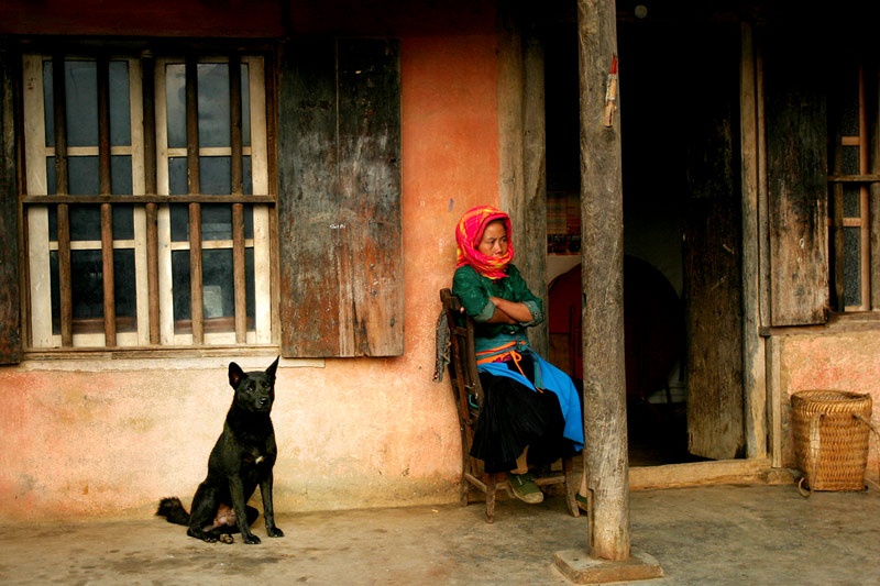 Trên thực tế từ trước tới nay, ai cũng biết, con chó trong quan niệm của người Việt không được coi trọng. Không như những gia đình ở các nước phương Tây, con chó được nuôi trong gia đình người Việt để canh giữ nhà cửa, đi săn... và là món thực phẩm khoái khẩu. Trong ảnh: Hầu như nhà nào ở nông thôn đều có nuôi ít nhất một con chó và quan niệm chỉ là con vật giữ nhà.