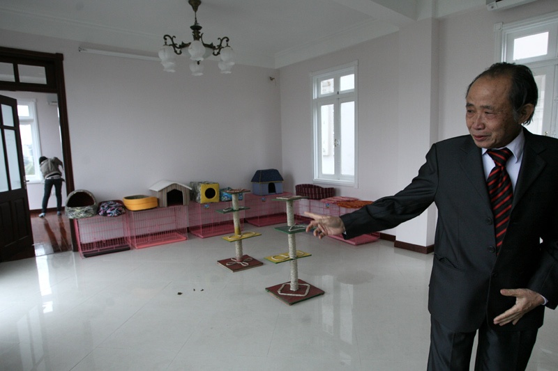 Lượng người nuôi chó và coi như bầu bạn ở Việt Nam ngày càng tăng. Đã có dịch vụ trông giữ chó khi chủ đi vắng tại Hà Nội với khu nuôi dưỡng ngang một khách sạn hạng sang.