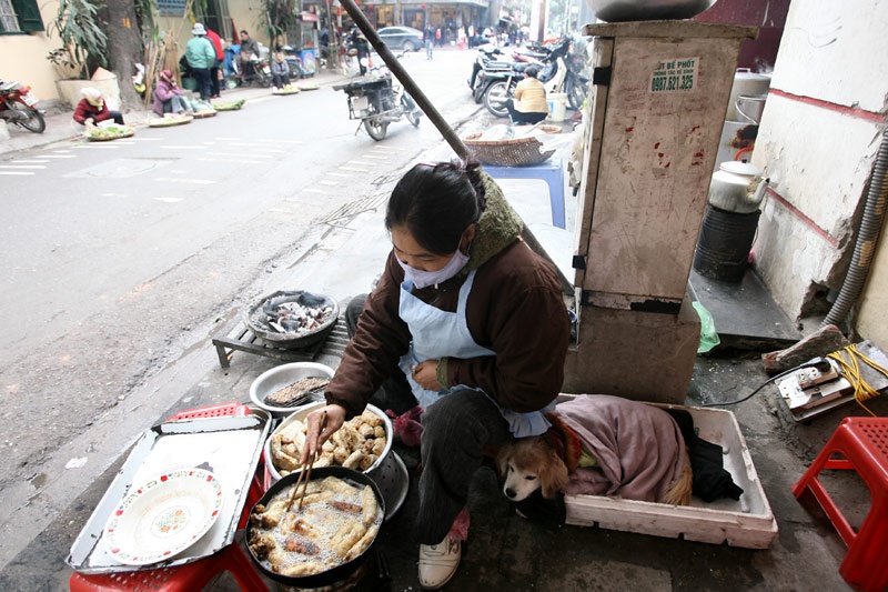 Cũng ở Việt Nam hiện nay, nhiều người nuôi chó và cưng chiều như một người bạn. Vào những ngày giá rét, nhiều con chó được chủ cho mặc áo chống rét.