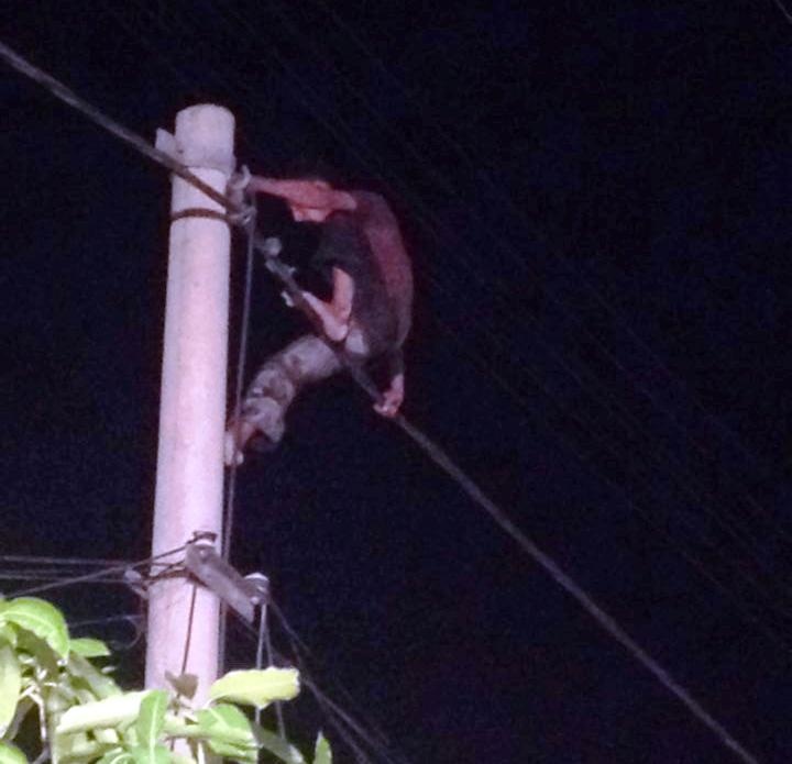 Hình ảnh Minh ngồi trên cột điện la hét, nhảy múa.