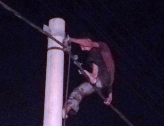 Phe ma tuy, thanh nien nhay mua hon 3 gio tren cot dien hinh anh