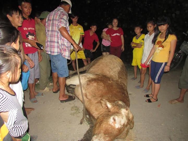 Bo dien huc 2 chau be vang khoi xe dap hinh anh