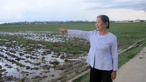 Chuyen thieu nu dung don ganh danh ho cuu ban hinh anh