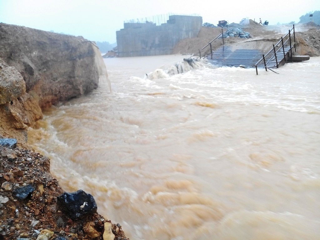 Mua lon lam sap cau, hang ngan ho dan bi chia cat hinh anh