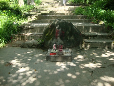 Hon da 'tran yem' cua chua lam mat song dien thoai? hinh anh