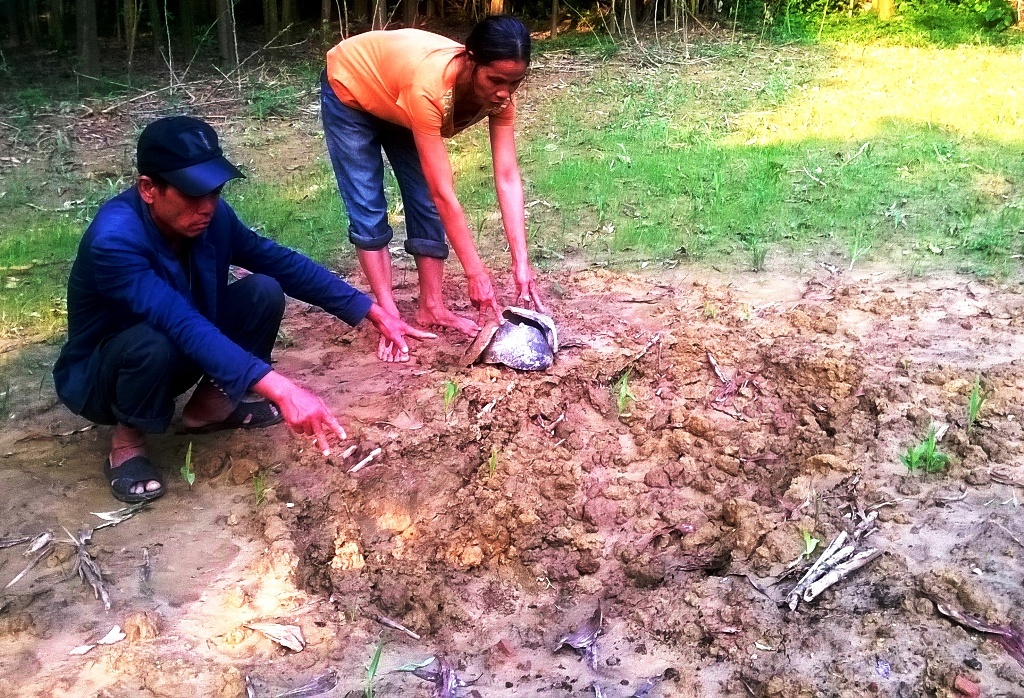 Hiện trường nơi những tên trộm đào thấy tiền cổ trong vườn nhà ông Sinh.