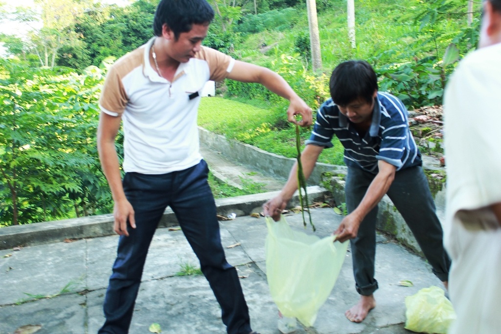 Người dân tham gia bắt rắn giao nộp cho chính quyền xã.