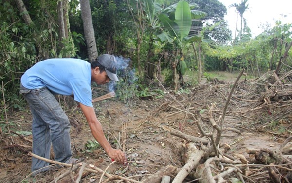 Dan phan no vi mo ma dong ho bi san bang ma khong he biet hinh anh