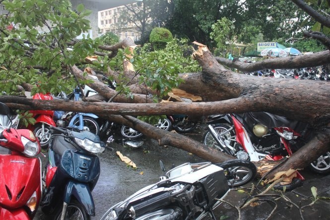 Ho tro 25% chu xe bi cay de tai nha hat Hoa Binh hinh anh