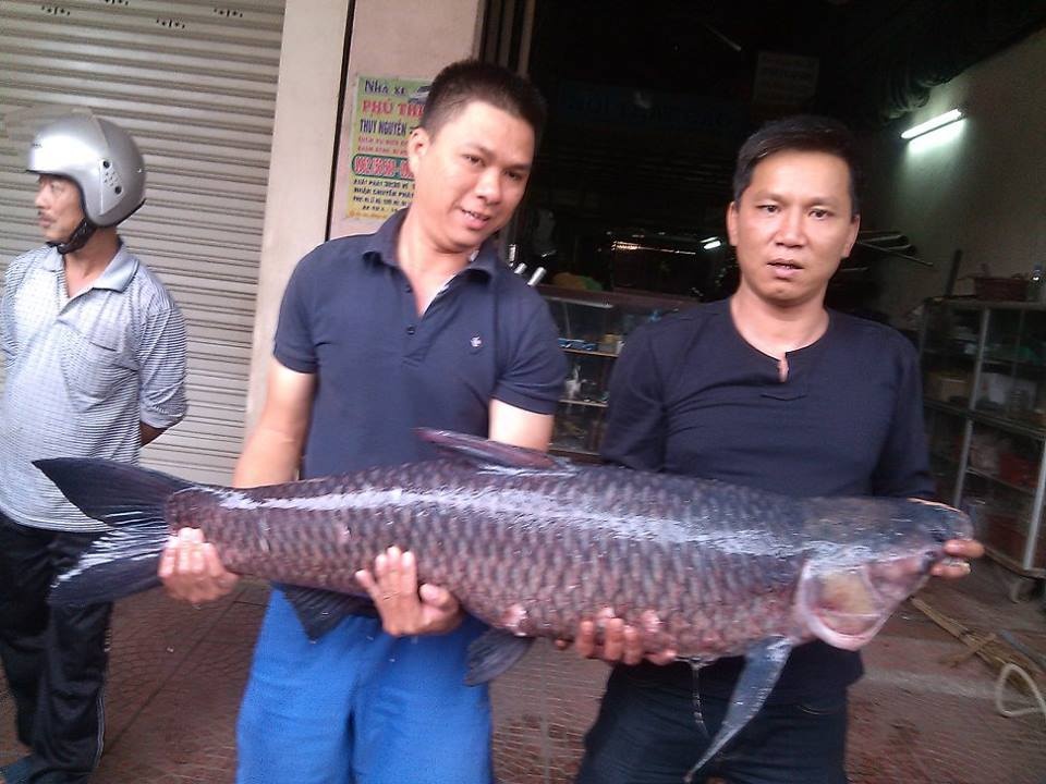 Anh Tuấn cho biết đã 