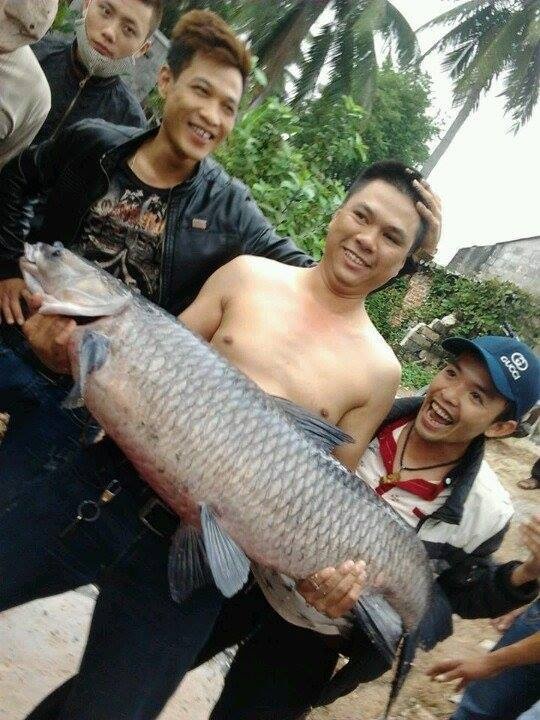 Cá trắm đen (có tên khoa học Mylopharyngodon piceus) là một loài cá thuộc Họ Cá chép, sống ở hạ lưu các sông, các đầm hồ ven sông và đồng ruộng. Cá còn được nuôi thả trong các ao đầm và ruộng trũng. Cá trắm đen thuộc loại cá cỡ lớn, nặng nhất tới 40-50kg. Cá thường đánh bắt được cỡ 2-3kg đến 4-5kg và có thể gặp những con 20-30kg.