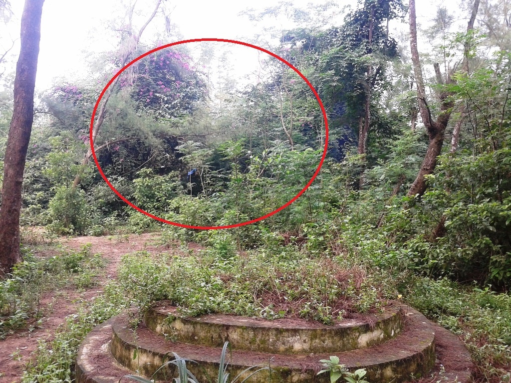 Nơi bà Huệ sinh sống là một bãi tha ma bỏ hoang. Ngôi nhà bà Huệ ở vòng tròn đỏ.