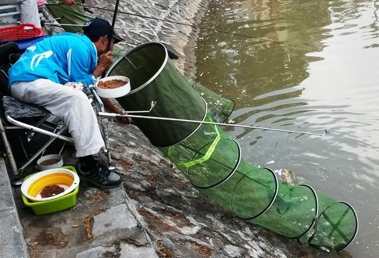 150 can thu ca nuoc dua tai cau ca hinh anh