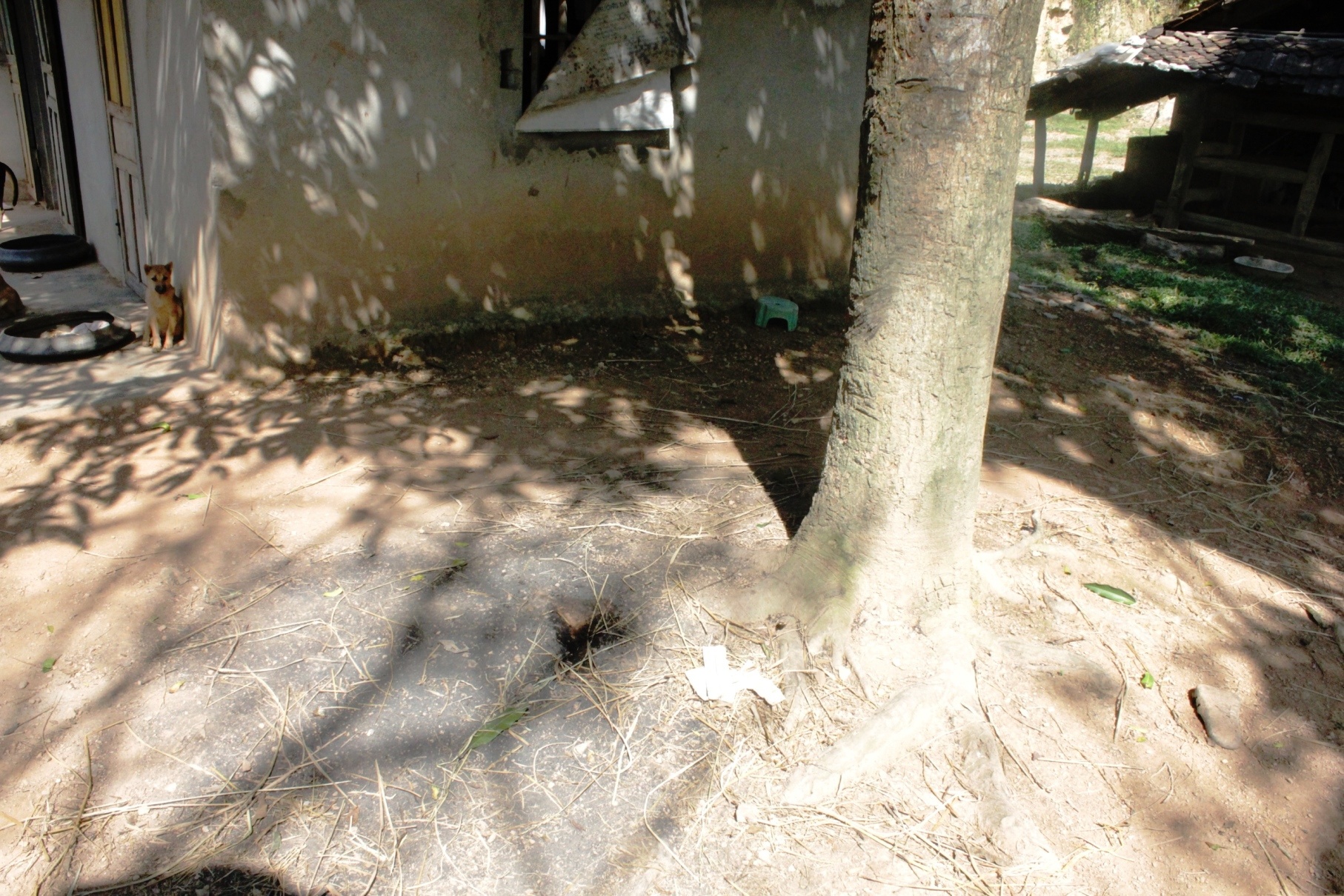 Hiện trường nơi cháu Vinh bị cha trói rồi vây rơm đốt.