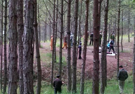 Rừng thông nơi thanh niên tự tử.