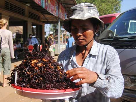 Một người bán nhện hùm chiên giòn.