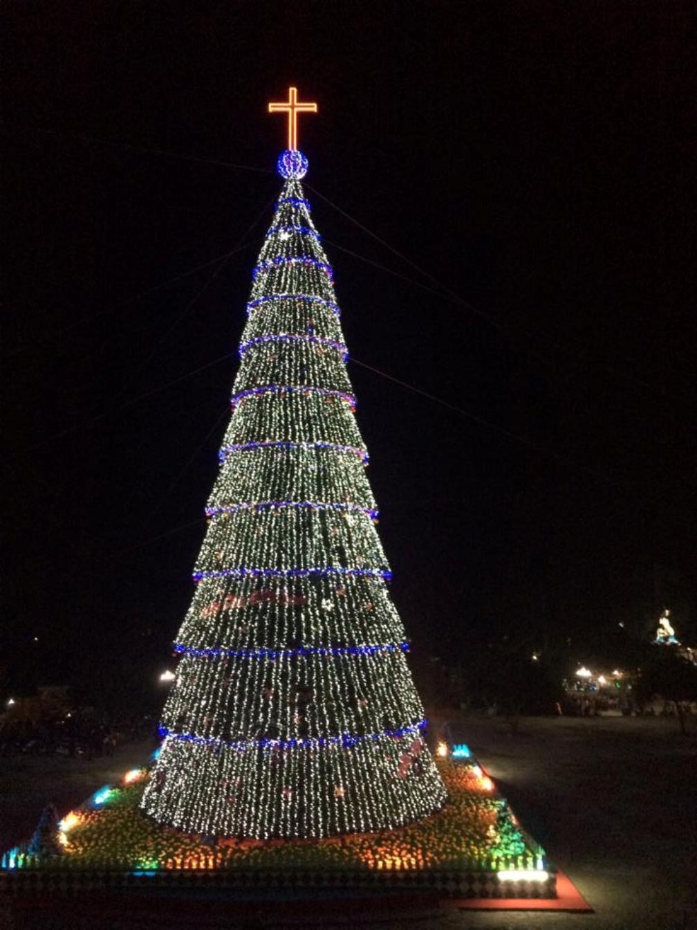 Cây thông đẹp rực rỡ khi về đêm.