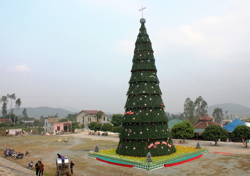 Cay thong Noel khong lo cao 41 met gia mot ty dong hinh anh