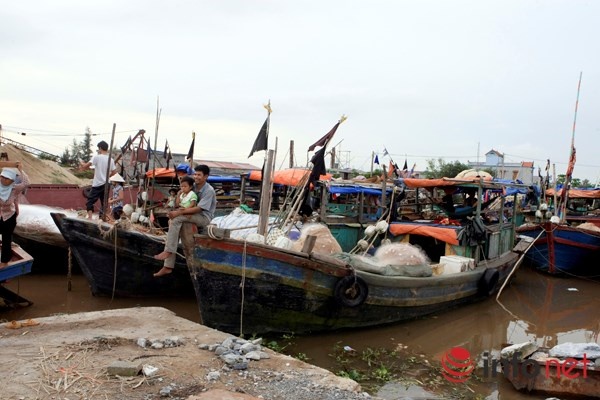 Nằm rải rác từ ven sông xã Hồng Tiến (huyện Kiến Xương) kéo dài tới cửa biển Cồn Vành (huyện Tiền Hải, Hòa Bình), làng chài Cao Bình còn được gọi là làng hoa văn – làng điểm chỉ do khoảng 70 % người dân mù chữ.