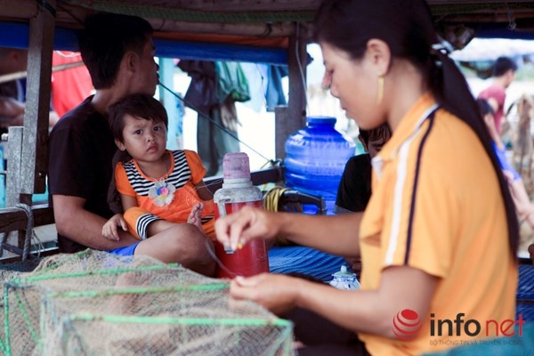 Với những gia đình đang sống theo mô hình này, họ thường chọn một góc sâu vào đất liền để tập kết và tách ra khỏi xóm chài.