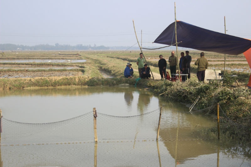 Hai be 3 tuoi tu vong duoi ho ca hinh anh