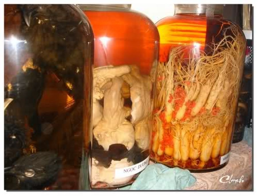 Ngọc dương chỉ có ích với những người dương hư thôi, còn những người âm hư, dương vượng thì không nên dùng.