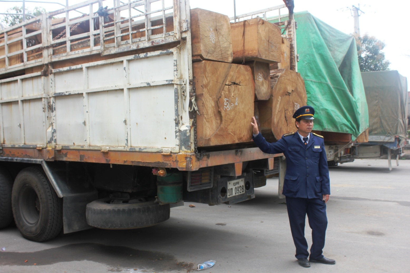 Theo lời ông Phó chánh thanh tra Sở GTVT Nghệ An, nhìn bằng mắt thường có thể khẳng định đoàn xe chờ gỗ này đều vượt trọng tải cho phép. 