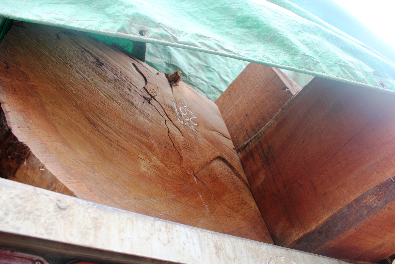 Hầu hết 11 xe tải chở gỗ mang biển số Lào này đều chở gỗ vuông với nhiều khúc lớn. Mỗi xe chở hơn 10 khối được trùm bạt kín mít.