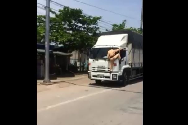 Hình ảnh chiến si CSGT đu lên đầu xe tải để gọi tài xế. Ảnh: Cắt từ clip.