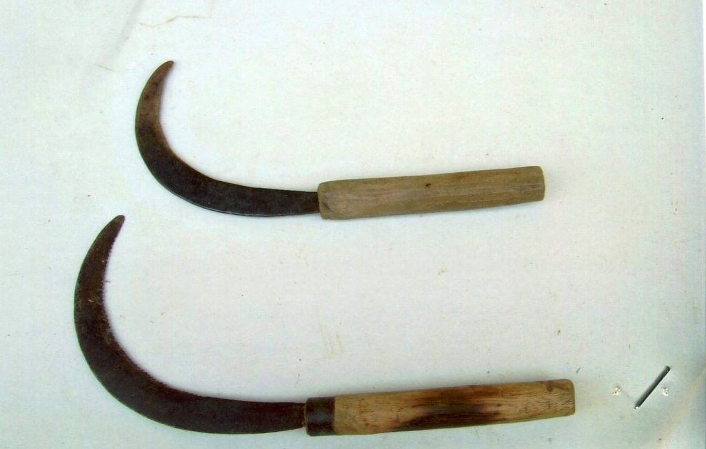 Cua dut co hang xom giua dem khuya hinh anh