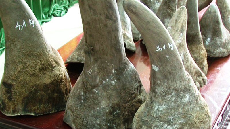 Van chuyen 31 sung te giac lay 40 trieu dong hinh anh