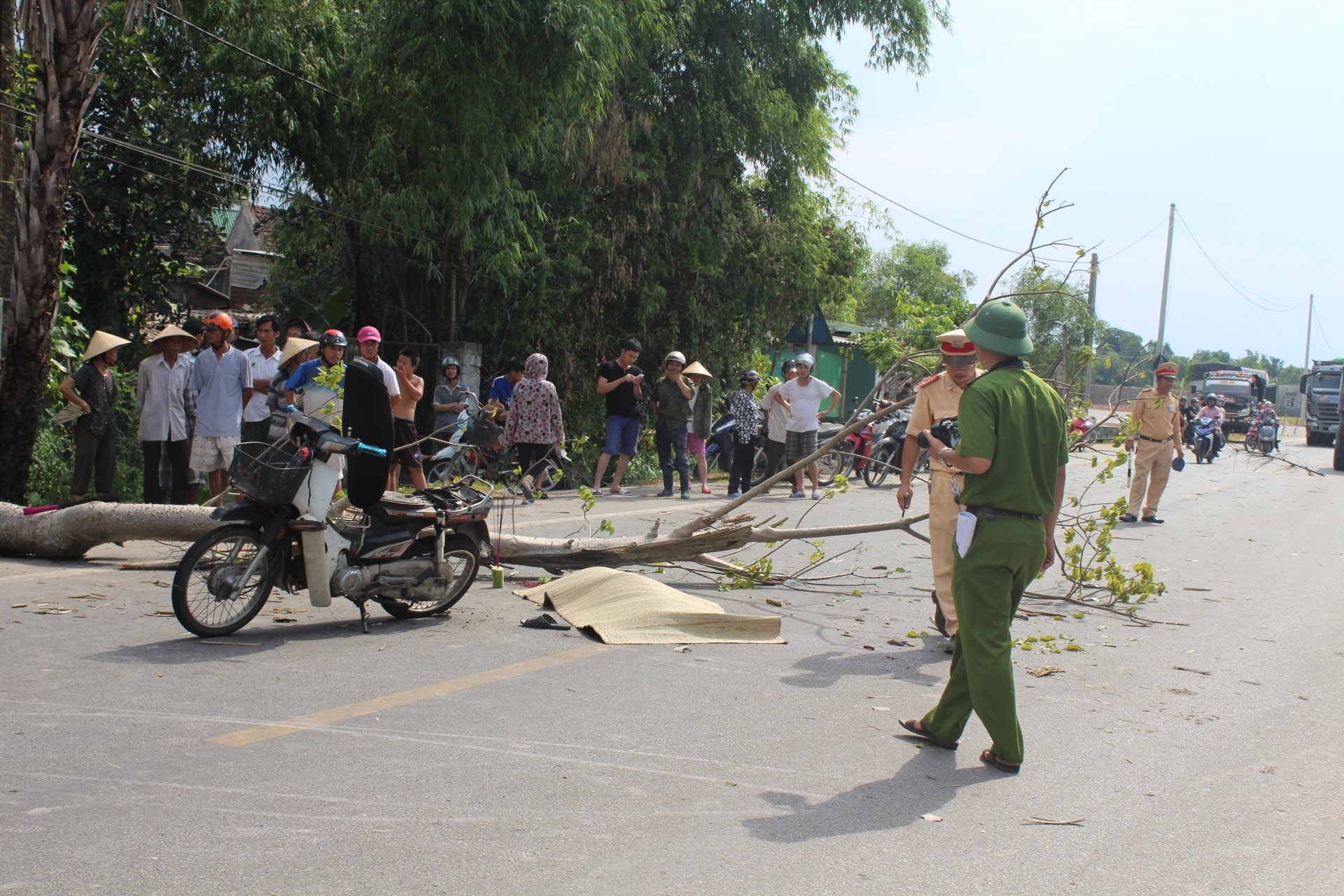 Cay do de chet nguoi dan ong di duong hinh anh