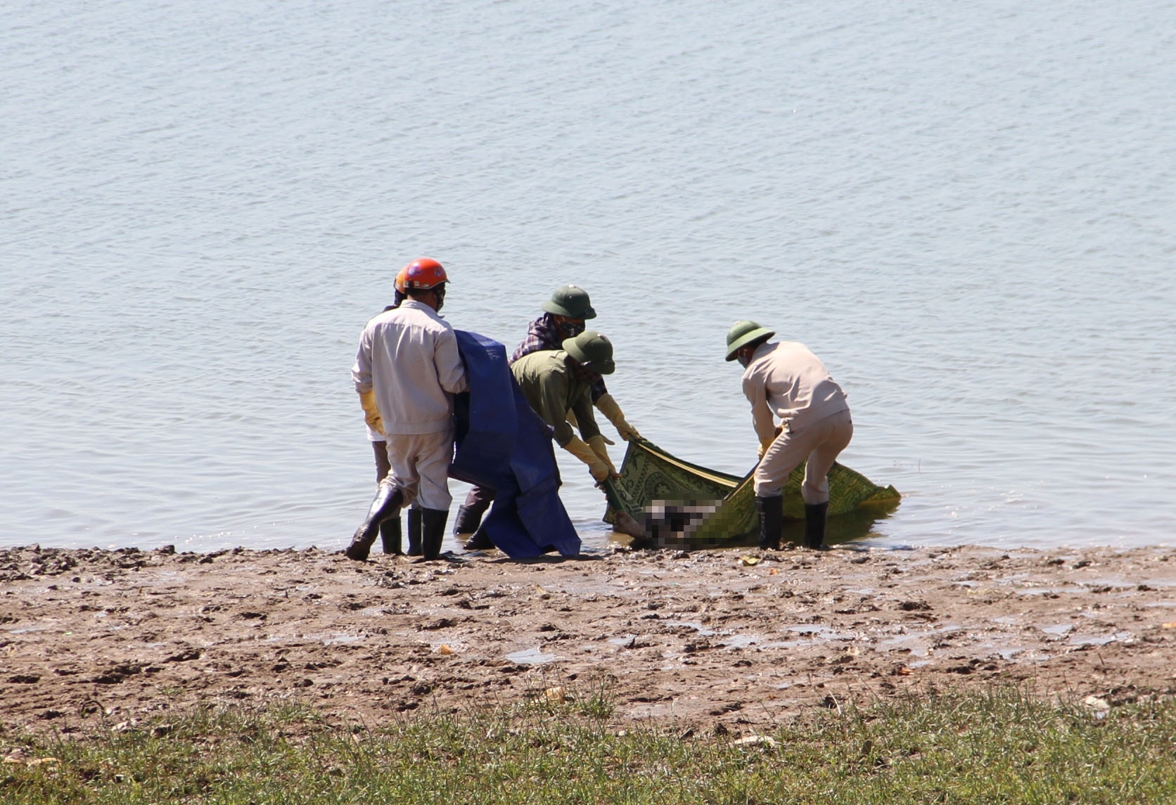 Lực lượng chức năng cử người vớt xác nạn nhân lên bờ. Ảnh: P.H.