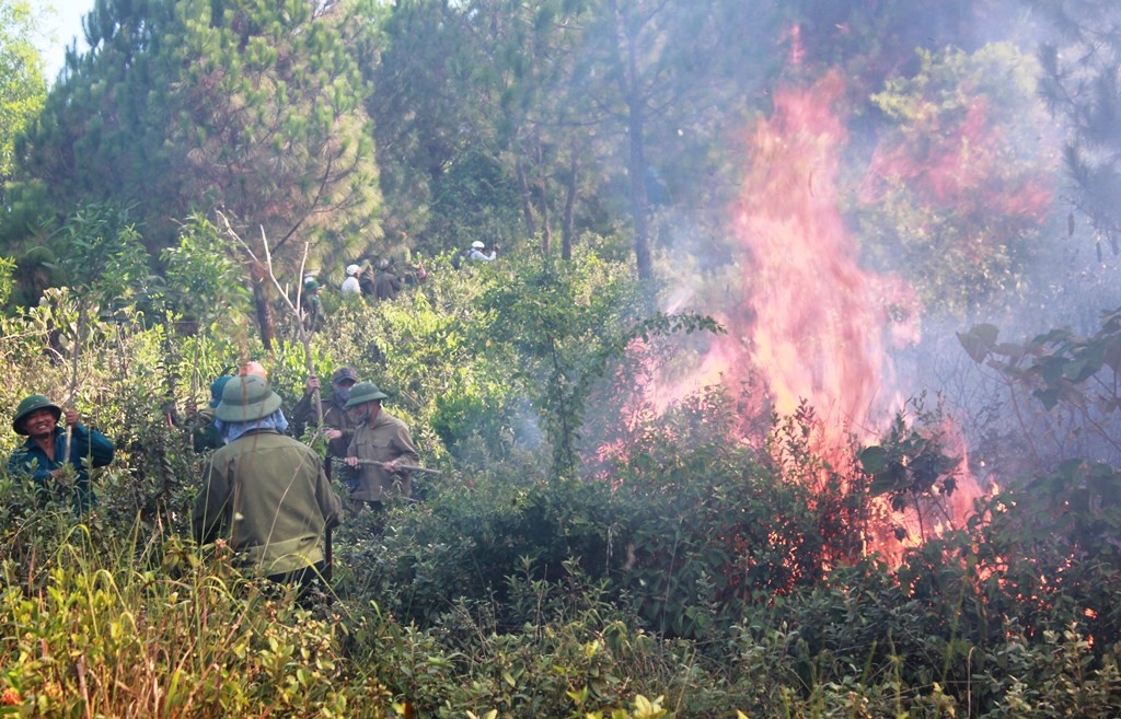 Hon 700 nguoi chua chay rung thong giua trua hinh anh