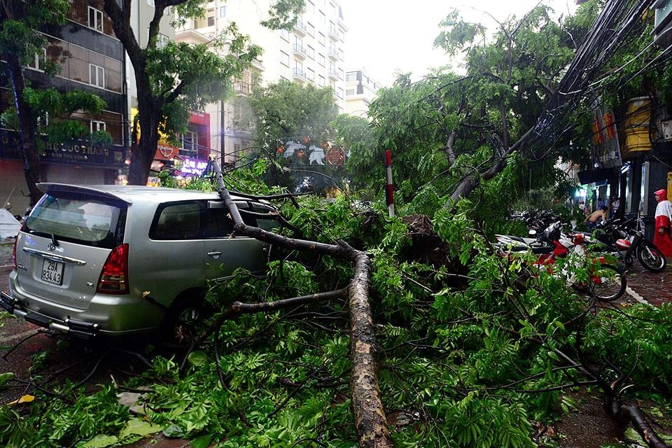 Cot dien do nga, oto bi cay de sau con dong o Ha Noi hinh anh