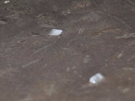 Mua da xuat hien o TP HCM hinh anh