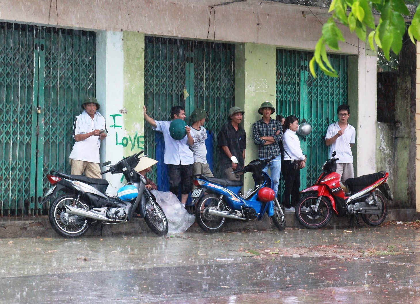 Don con 'mua vang', thanh Vinh giam hon 5 do C hinh anh