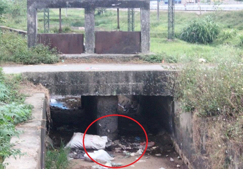 Thi the tre so sinh trong tui xach duoi cong nuoc hinh anh