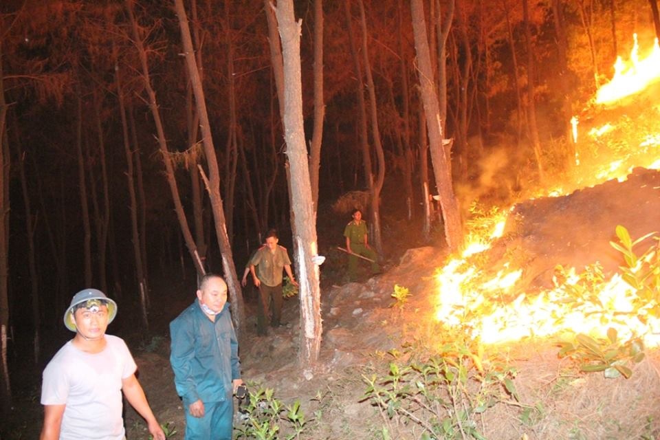Nhận thấy đám cháy có thể lan rộng ra nhanh chóng, lãnh đạo huyện Yên Thành đã điều tất cả các lực lượng gồm Hạt Kiểm lâm, Ban quản lý rừng phòng hộ, Ban chỉ huy quân sự, Công an huyện, trung đội dân quân cơ động và dân quân 6 xã: Bảo Thành, Công Thành, Mỹ Thành, Sơn Thành, Khánh Thành, Liên Thành  cùng sự góp sức của gần 100 chiến sỹ bộ đội thuộc Trung đoàn 324 – Quân khu IV đóng trên địa bàn huyện Đô Lương đến hiện trường để dập lửa. 