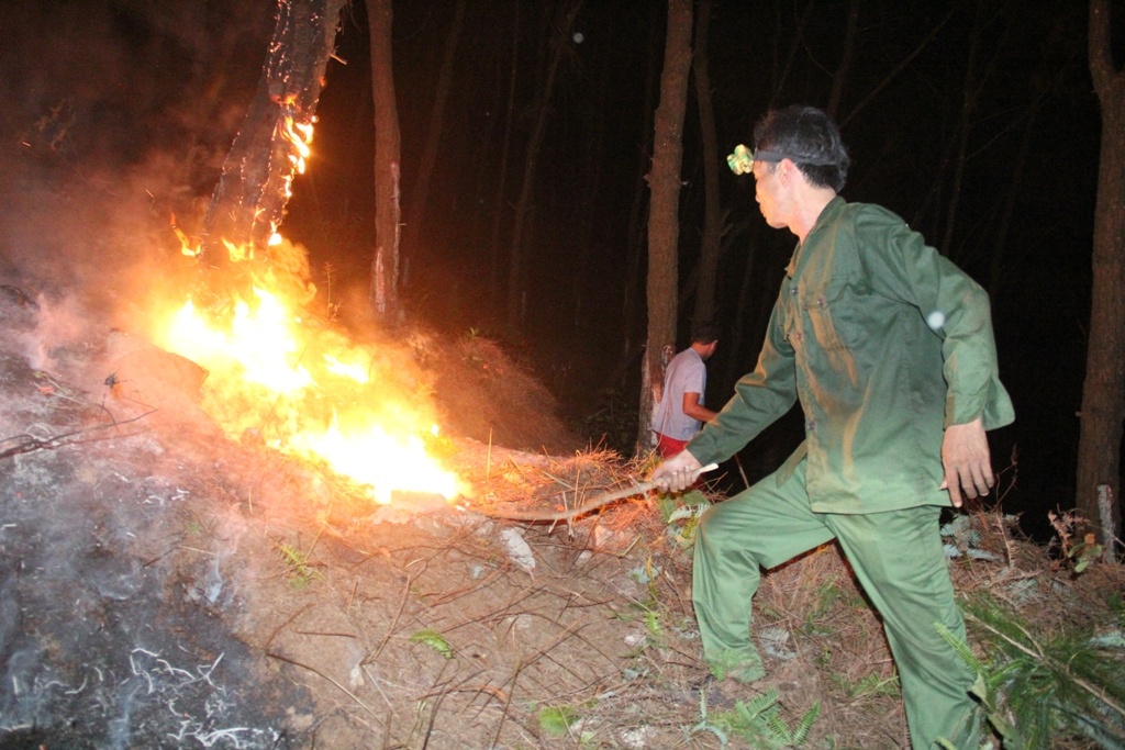 Hon 1.000 nguoi trang dem dap lua cuu rung thong hinh anh