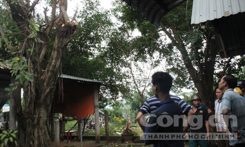 Nguoi dan ong bi dien giat dinh vao canh cay tu vong hinh anh