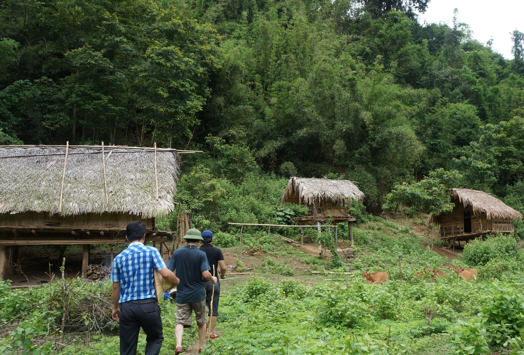 Lán trại của gia đình anh Thọ (lán đầu tiên bên trái). Ảnh: Phạm Hòa.