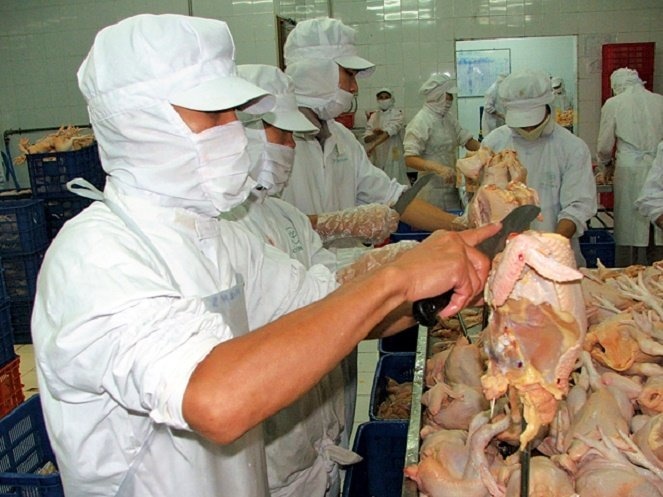 Hom nay bai bo 14 khoan thu phi lien quan den thu y hinh anh