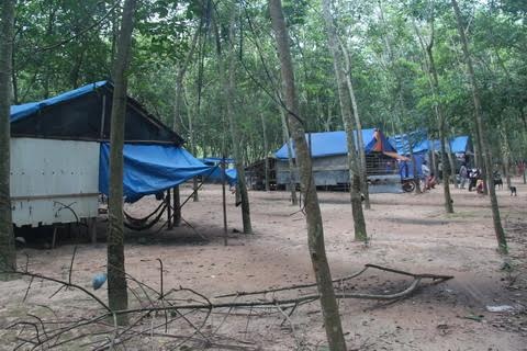 Nhung phan nguoi khong quoc tich o Binh Duong hinh anh