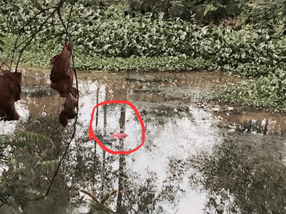 Thi the co gai noi tren song hinh anh